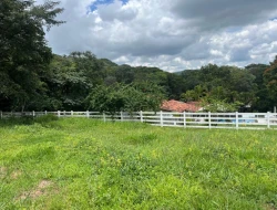 FAZENDA EM LIMAS DO PARÁ - PARÁ DE MINAS - MG
