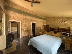 FAZENDA EM LIMAS DO PARÁ - PARÁ DE MINAS - MG