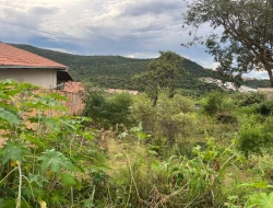 LOTE BAIRRO SAO JOSE - PARÁ DE MINAS - MG