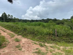 SÍTIO EM SÍTIO NOVO-MATEUS LEME-MG