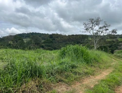 SÍTIO EM SÍTIO NOVO-MATEUS LEME-MG