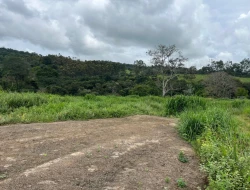 SÍTIO EM SÍTIO NOVO-MATEUS LEME-MG