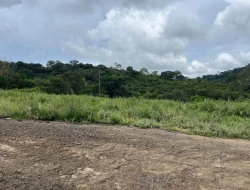 SÍTIO EM SÍTIO NOVO-MATEUS LEME-MG