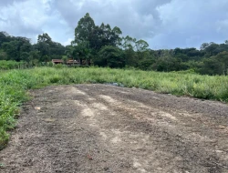 SÍTIO EM SÍTIO NOVO-MATEUS LEME-MG