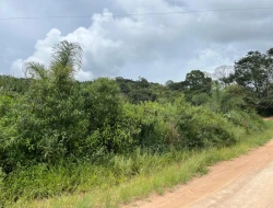 SÍTIO EM SÍTIO NOVO-MATEUS LEME-MG