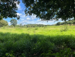 SÍTIO EM PARAÍSO - PARÁ DE MINAS - MG