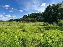 SÍTIO EM PARAÍSO - PARÁ DE MINAS - MG