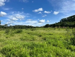 SÍTIO EM PARAÍSO - PARÁ DE MINAS - MG