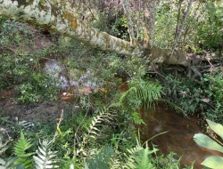 SÍTIO EM PARAÍSO - PARÁ DE MINAS - MG