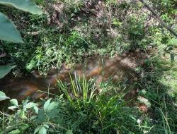 SÍTIO EM PARAÍSO - PARÁ DE MINAS - MG