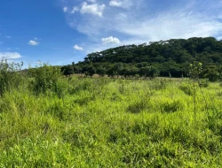 SÍTIO EM PARAÍSO - PARÁ DE MINAS - MG