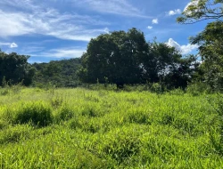 SÍTIO EM PARAÍSO - PARÁ DE MINAS - MG