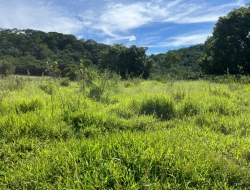 SÍTIO EM PARAÍSO - PARÁ DE MINAS - MG