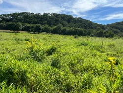 SÍTIO EM PARAÍSO - PARÁ DE MINAS - MG