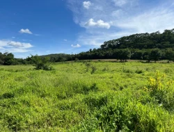 SÍTIO EM PARAÍSO - PARÁ DE MINAS - MG