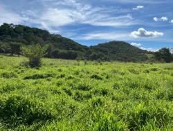 SÍTIO EM PARAÍSO - PARÁ DE MINAS - MG