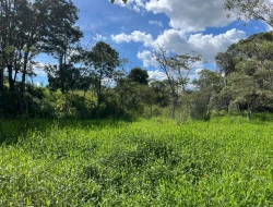 SÍTIO EM PARAÍSO - PARÁ DE MINAS - MG