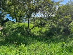 SÍTIO EM PARAÍSO - PARÁ DE MINAS - MG