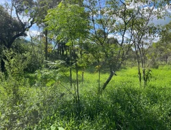 SÍTIO EM PARAÍSO - PARÁ DE MINAS - MG