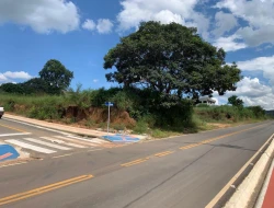 CHÁCARA DENTRO DE PEQUI COM 1400M²