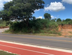 CHÁCARA DENTRO DE PEQUI COM 1400M²