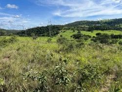 SÍTIO À VENDA EM PARAÍSO – PARÁ DE MINAS/MG