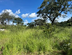 SÍTIO À VENDA EM PARAÍSO – PARÁ DE MINAS/MG