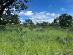 SÍTIO À VENDA EM PARAÍSO – PARÁ DE MINAS/MG