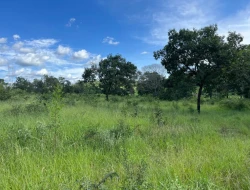 SÍTIO À VENDA EM PARAÍSO – PARÁ DE MINAS/MG
