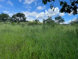 SÍTIO À VENDA EM PARAÍSO – PARÁ DE MINAS/MG