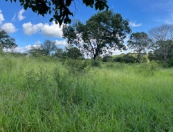 SÍTIO À VENDA EM PARAÍSO – PARÁ DE MINAS/MG