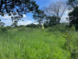 SÍTIO À VENDA EM PARAÍSO – PARÁ DE MINAS/MG