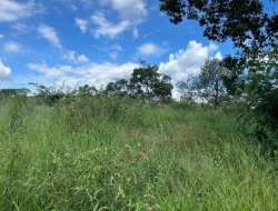 SÍTIO À VENDA EM PARAÍSO – PARÁ DE MINAS/MG