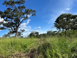 SÍTIO À VENDA EM PARAÍSO – PARÁ DE MINAS/MG