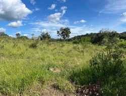 SÍTIO À VENDA EM PARAÍSO – PARÁ DE MINAS/MG