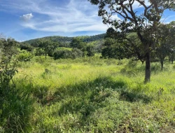 SÍTIO À VENDA EM PARAÍSO – PARÁ DE MINAS/MG