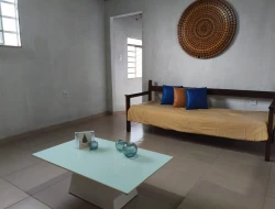 CHÁCARA ÀS MARGENS DA BR 262, PRÓXIMA A PARÁ DE MINAS - MG