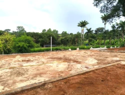 CHÁCARA ÀS MARGENS DA BR 262, PRÓXIMA A PARÁ DE MINAS - MG