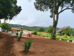 CHÁCARA ÀS MARGENS DA BR 262, PRÓXIMA A PARÁ DE MINAS - MG