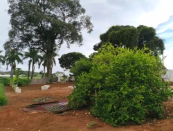 CHÁCARA ÀS MARGENS DA BR 262, PRÓXIMA A PARÁ DE MINAS - MG