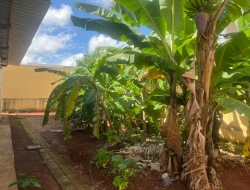 LOTE BAIRRO ELDORADO - PARÁ DE MINAS - MG