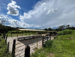 FAZENDINHA EM LIMAS DO PARÁ - PARÁ DE MINAS - MG