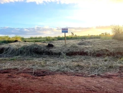 LOTE À VENDA – BAIRRO SENADOR VALADARES – PARÁ DE MINAS/MG