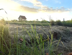 LOTE À VENDA – BAIRRO SENADOR VALADARES – PARÁ DE MINAS/MG