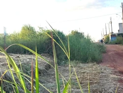 LOTE À VENDA – BAIRRO SENADOR VALADARES – PARÁ DE MINAS/MG