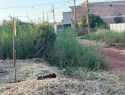 LOTE À VENDA – BAIRRO SENADOR VALADARES – PARÁ DE MINAS/MG