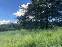 CHÁCARA À VENDA - 5.500 M²  EM PARAÍSO - PARÁ DE MINAS - MG