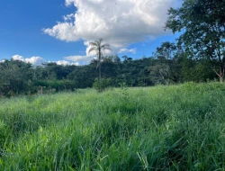 CHÁCARA À VENDA - 5.500 M²  EM PARAÍSO - PARÁ DE MINAS - MG