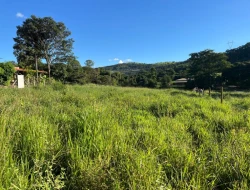 CHÁCARA À VENDA - 5.500 M²  EM PARAÍSO - PARÁ DE MINAS - MG