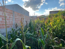 LOTE À VENDA NO RESIDENCIAL VEREDAS - PARÁ DE MINAS - MG